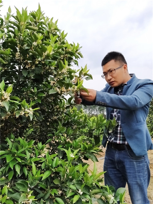 彭山区：新型职业农民的乡村振兴梦