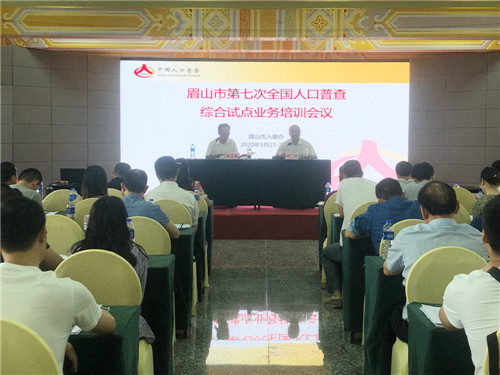 眉山市召开第七次全国人口普查市、县两级综合试点工作业务培训会议