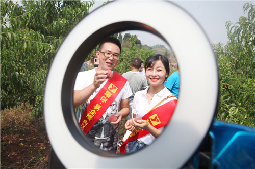 在四川省内江市东兴区郭北镇九根树村，24名第一书记和民主党派成员及网红主播为乡村振兴产业夏满蜜桃“直播带货”4.jpg