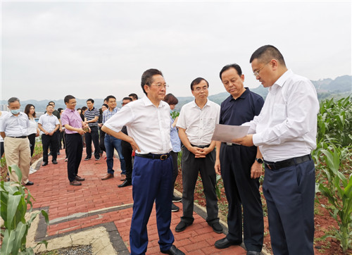 调研组一行在邻水高滩园区调研.jpg 调研组一行在邻水高滩园区调研.jpg