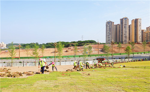 微信图片_20200526102218.jpg 微信图片_20200526102218.jpg