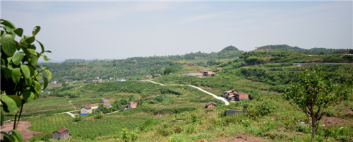 山水林田湖草生态保护成效显著