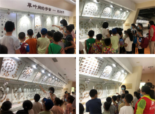 图片7.jpg