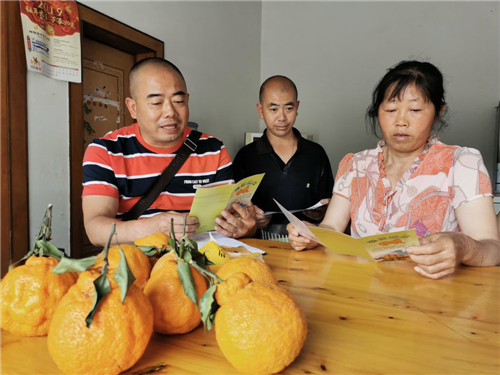图片6.jpg