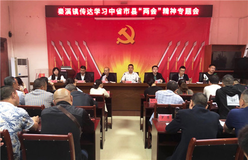 秦溪镇召开镇村干部会议