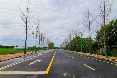 青神县建设路北段工程项目全面完工