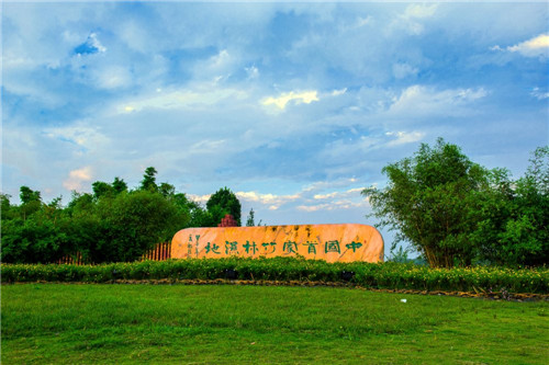 中国首家竹林湿地公园.jpg
