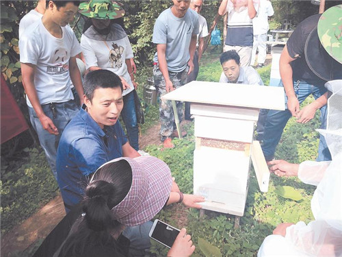 博士老板：誓把青山变银行