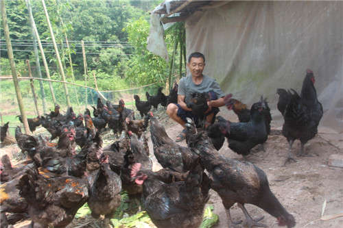 IMG_1674_副本.jpg IMG_1674_副本.jpg