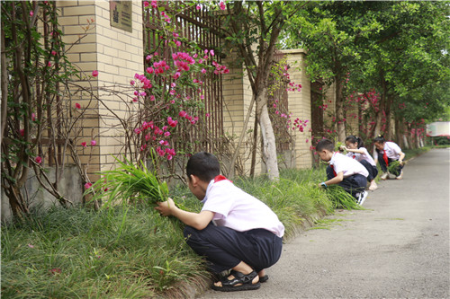 4融入小区生活.jpg