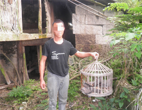广安区：男子非法捕捉野生鸟类获刑