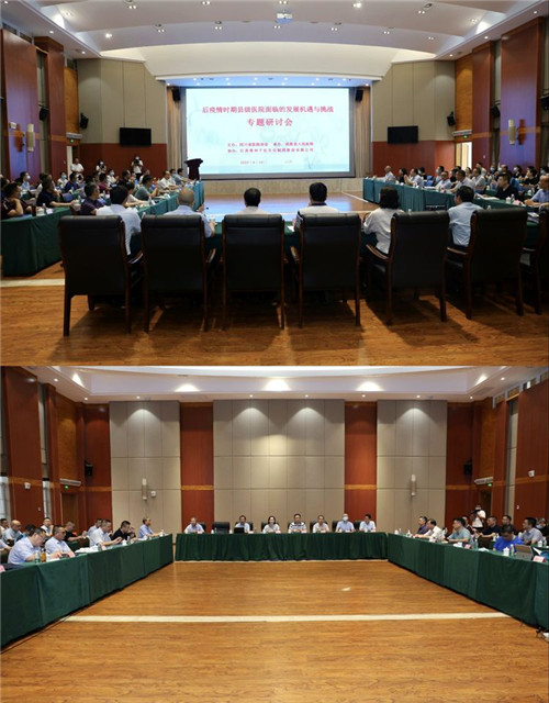 后疫情时期县级医院面临的发展机遇与挑战专题研讨会在武胜县召开