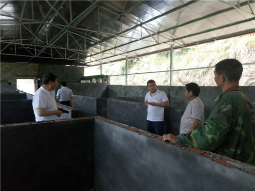 图片1.jpg 图片1.jpg