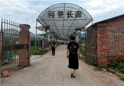 缪氏庄园的科普长廊.jpg