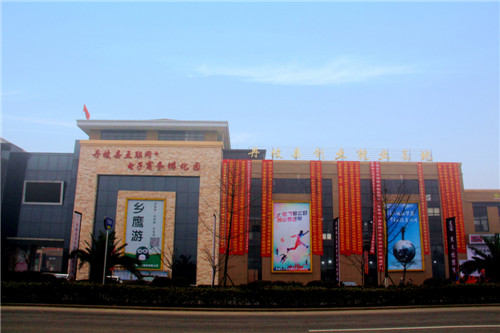 丹棱县：全面推进丹棱电子商务集群网状发展