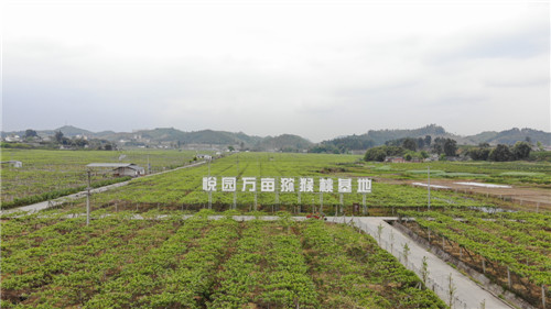 看产业新村的蜕变