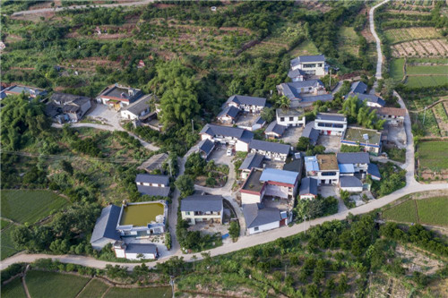 百家池村：因地制宜谋发展 扎实练功厚“家底”