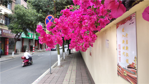 彭山区：绘出品质之城新画卷