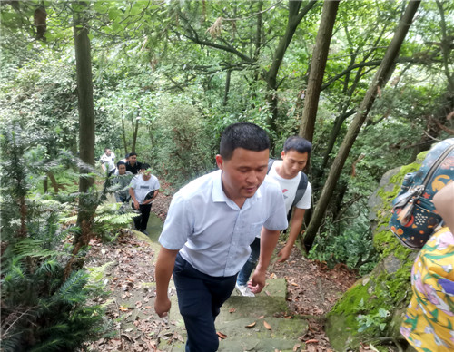 宣传部常务副部长带记者们上山.jpg