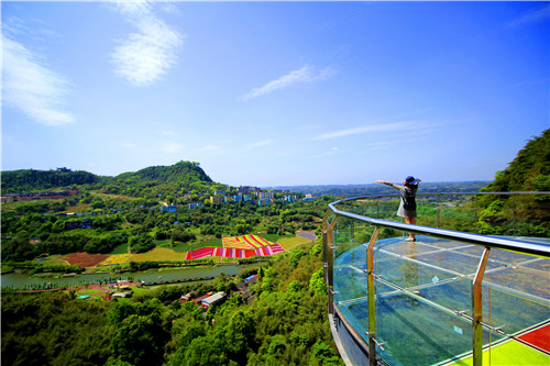 游客在纳溪花田酒地欣赏美景.jpg