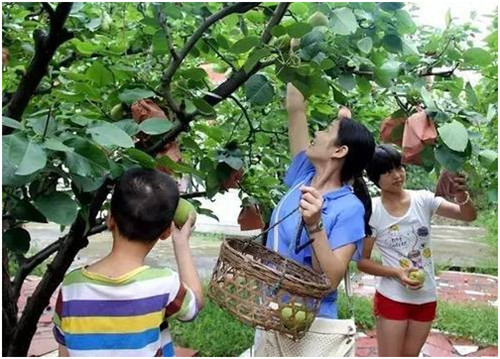 QQ图片20200704165017.jpg
