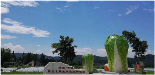QQ图片20200704165028.jpg