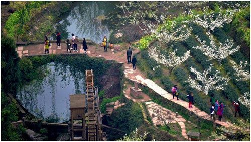 QQ图片20200704165045.jpg