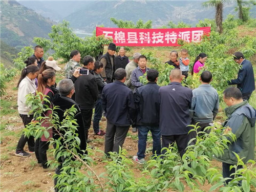 石棉县：科技特派员助力脱贫攻坚