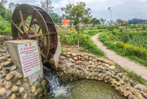 青神县：走出基层治理新路径