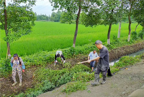 彭山区：深入开展村庄清洁行动　
