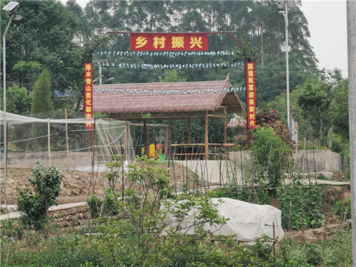 图片5.jpg