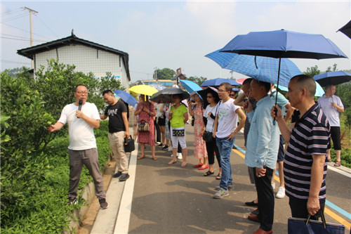 彭山区：提高农技人员理论素质和能力水平