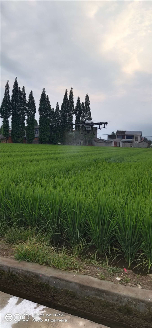 公义镇欣荣村：智能设备改变农业劳作模式
