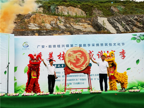 桂兴镇：第二届“脆李采摘暨民俗文化节”开幕