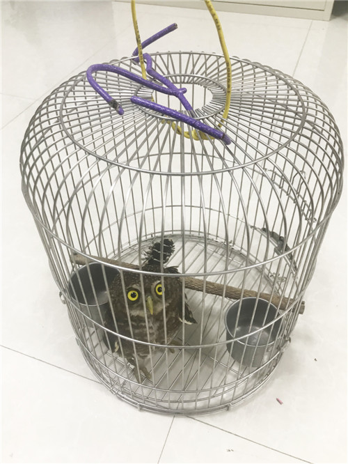 IMG_2511.jpg IMG_2511.jpg