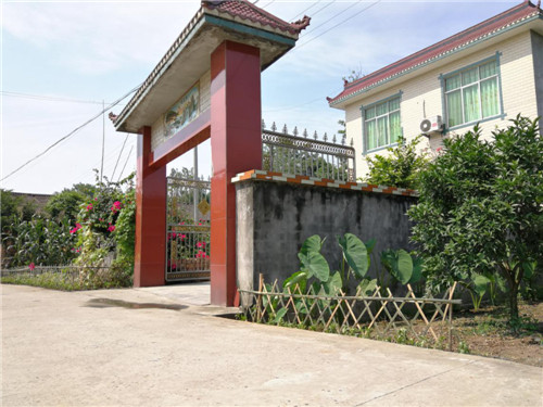 汉阳镇:用竹子编出美丽乡村新颜值