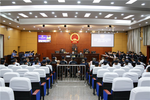 东坡区人民法院公开宣判一起涉黑案