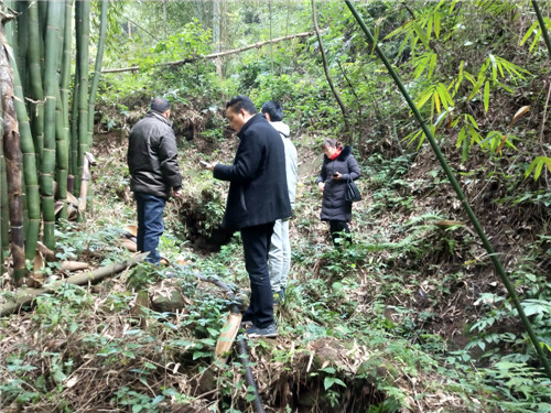 青神县：退役军人“换装不换心”