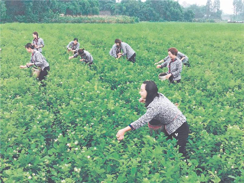 物质富有 精神富足