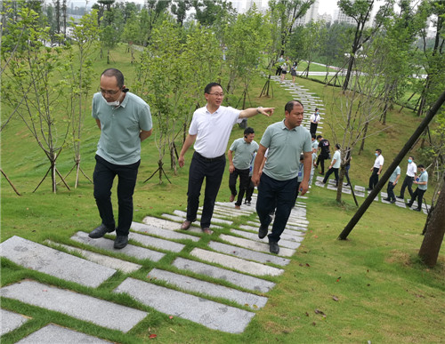 产业新城  康养前锋
