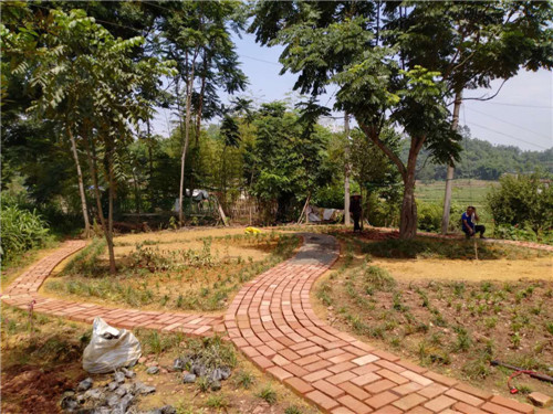 罗波乡：施家沟村种花建园扮靓环境