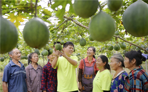 图为罗超在中药材种植基地为村民讲解种植技术（张启富摄）.jpg