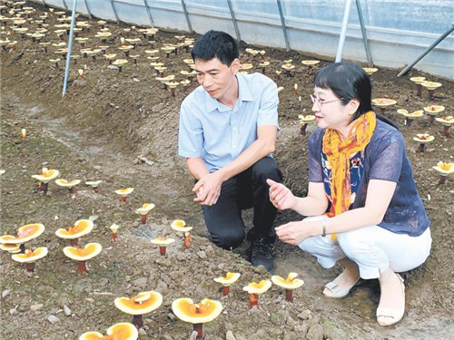 5011829812151195_副本.jpg