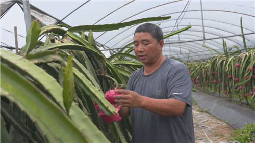 彭山区：探索乡村振兴新模式
