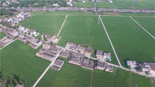 彭山农村新面貌.jpg