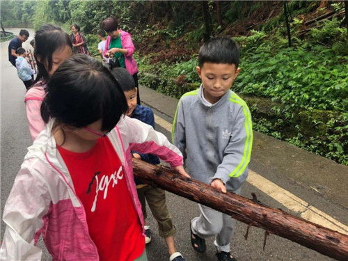 洪雅县:玉屏山自然教育开课