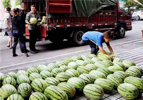 龙门峡南煤矿：为职工送清凉