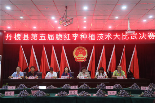 比赛现场.jpg
