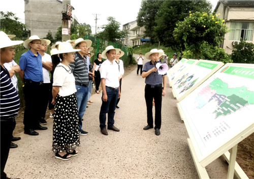 华蓥市召开水稻实割实测现场会