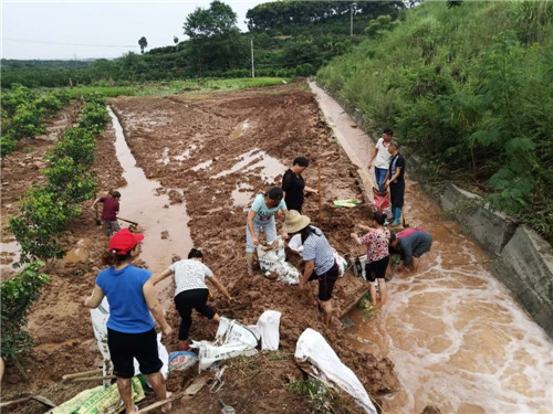 彭山区：积极恢复生产秩序